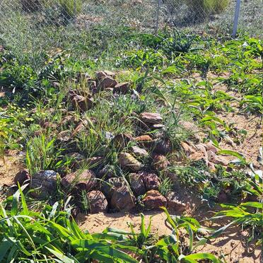 WESTHUIZEN Wybrand Elias Thynsma, van der 1958-2017