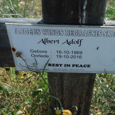 ADOLF Albert 1969-2016