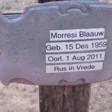 BLAAUW Morresi 1959-2011