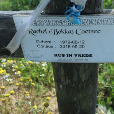 COETZEE Rachel 1979-2016