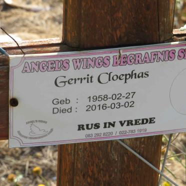 CLOEPHAS Gerrit 1958-2016