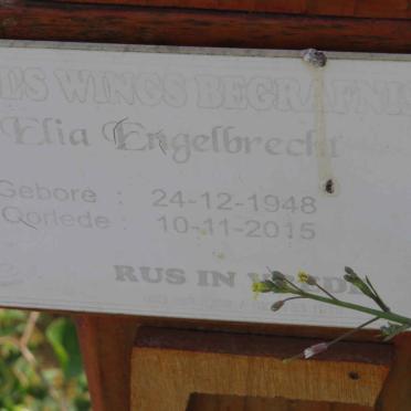 ENGELBRECHT Elia 1948-2015