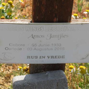 JANTJIES Amos 1933-2015