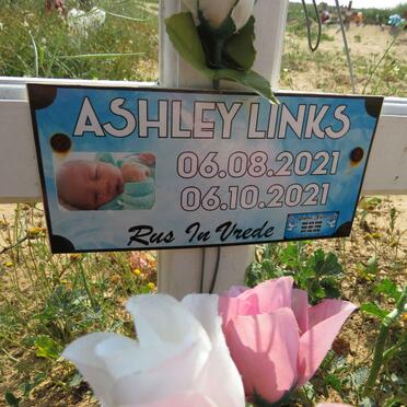 LINKS Ashley 2021-2021