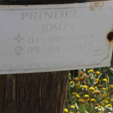 PRINDELLA Joslin 1991-2015