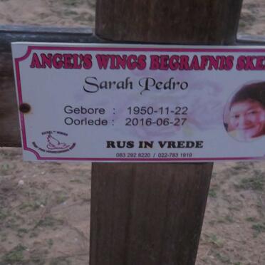 PEDRO Sarah 1950-2016