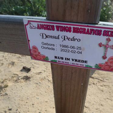 PEDRO Densul 1986-2022