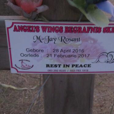 ROSANT M-Jay 2016-2017