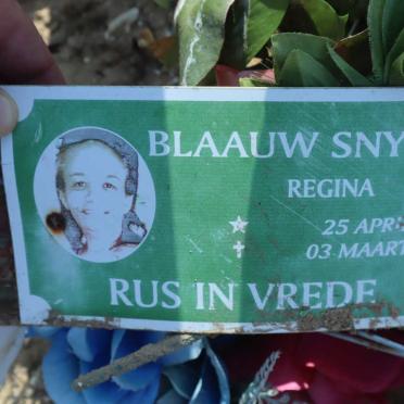 SNYDERS Blaauw Regina 1963-2016
