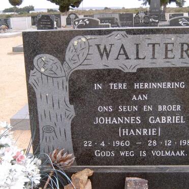 WALTERS Johannes Gabriël 1960-1980