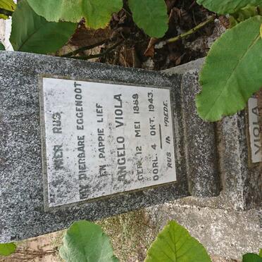 VIOLA Angelo 1889-1943