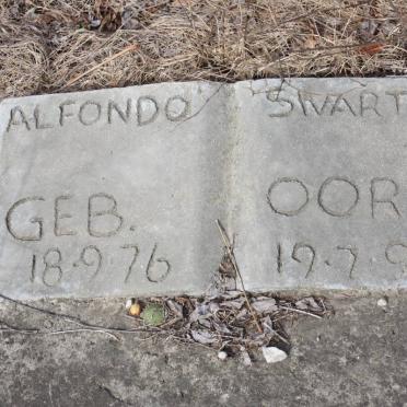 SWARTZ Alfondo 1876-1890