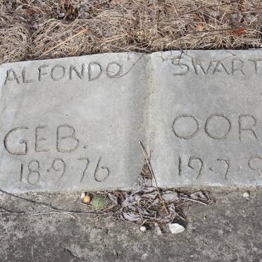 SWARTZ Alfondo 1876-1890