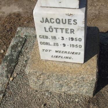 L - Surnames :: Vanne - L