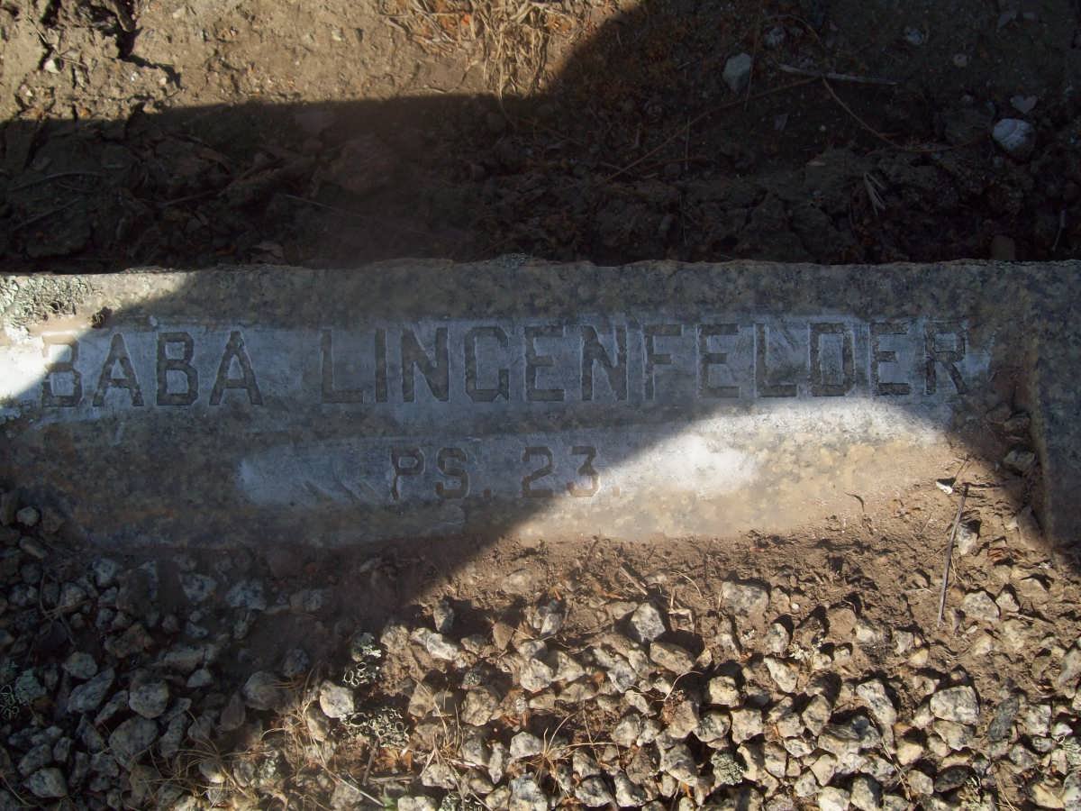 LINGENFELDER Baba