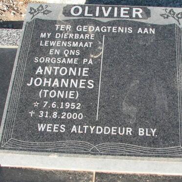 O - Surnames :: Vanne - O