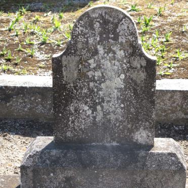 KOTZE G.A. 1883-1884