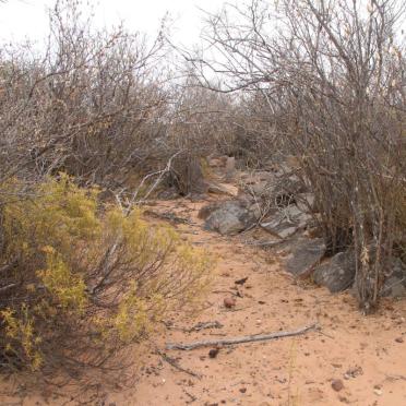 ? Unmarked grave with stones