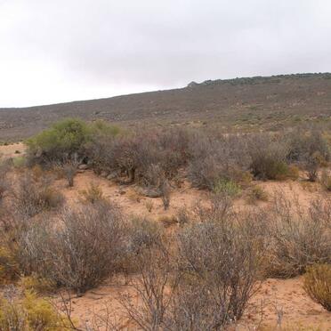 2. Overview on graves