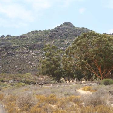 2. Overview on the cemetery