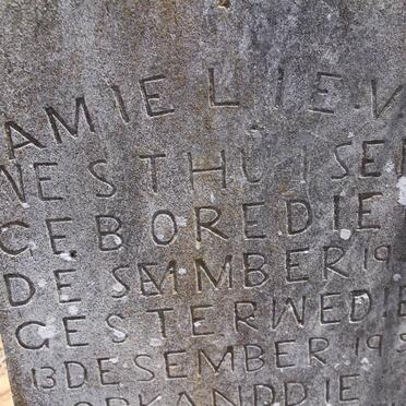 WESTHUISEN Amilie, v.d. 1944-1950