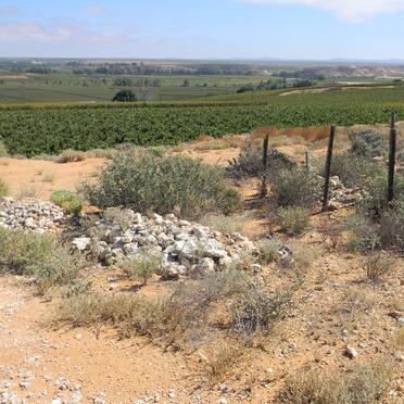 ? Unmarked Graves
