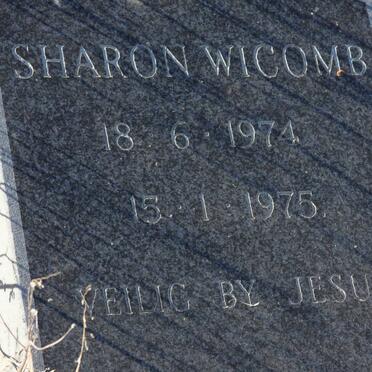 WICOMB Sharon 1974-1975