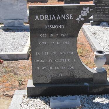ADRIAANSE Desmond 1966-1985