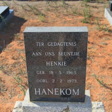 HANEKOM Henkie 1965-1973