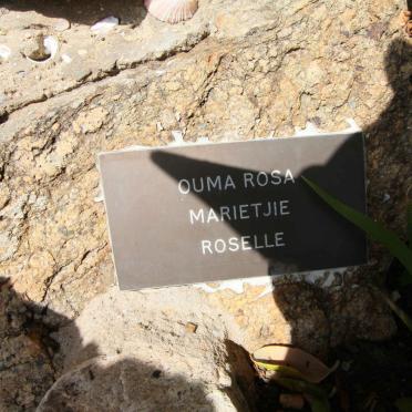 ROSELLE Rosa Marietjie