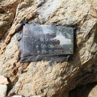 WESSELS Bennie 1984-2010