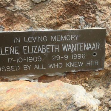 WANTENAAR Helene Elizabeth 1909-1996