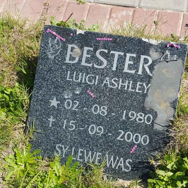 BESTER Luigi Ashley 1980-2000