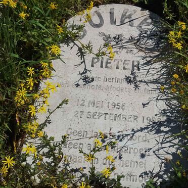 DUIKER Pieter 1956-1998