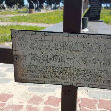 DEMINGO Piet 1932-2001