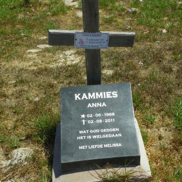 KAMMIES Anna 1968-2011
