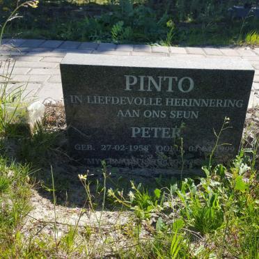 PINTO Peter 1958-1999