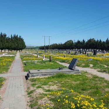 3. Overview / Oorsig