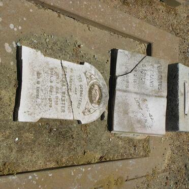 BESTER Albertus Wynand 1886-1975 :: BESTER Helena 1899-1939