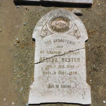 BESTER Helena 1899-1939