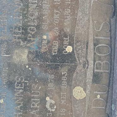 BOIS Johannes Marius, du 1875-1963 &amp; Helena Apolonia SLABBER 1882-1921