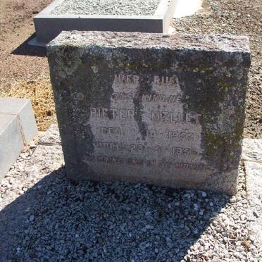 MELLET Pieter 1952-1956