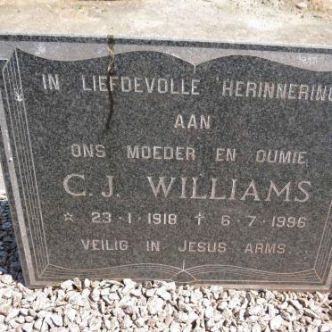 WILLIAMS C.J. 1918-1996