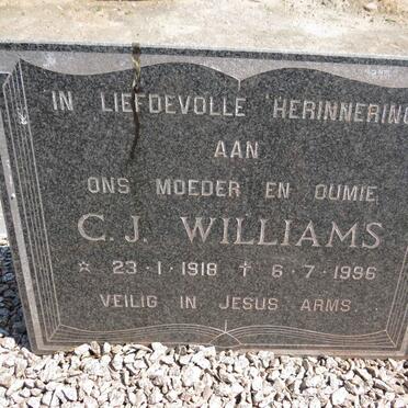 WILLIAMS C.J. 1918-1996