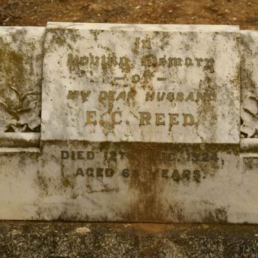 REED E.C. -1924