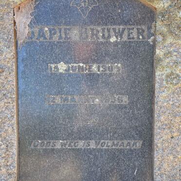 BRUWER Japie 190?-1936