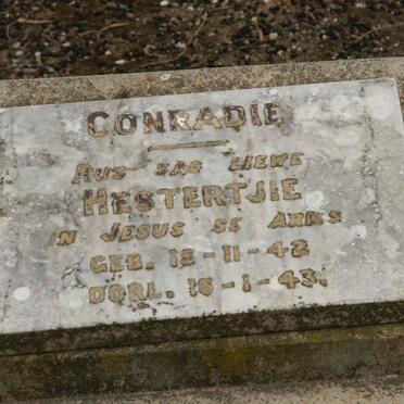 CONRADIE Hesterjie 1942-1943