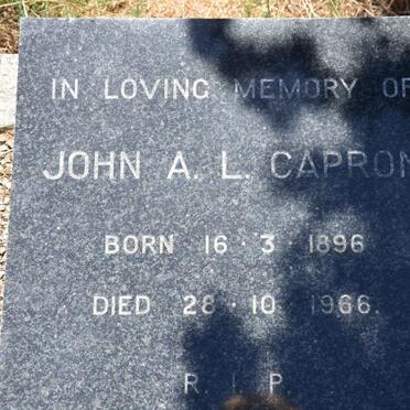 C - Surnames :: Vanne - C