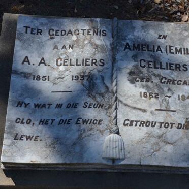 CELLIERS A.A. 1851-1937 &amp; Amelia GREGAN 1862-1941
