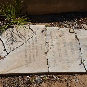 Z - Vanne :: Surnames - Z